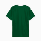 Camisa Puma Palmeiras 2025/26 I Torcedor