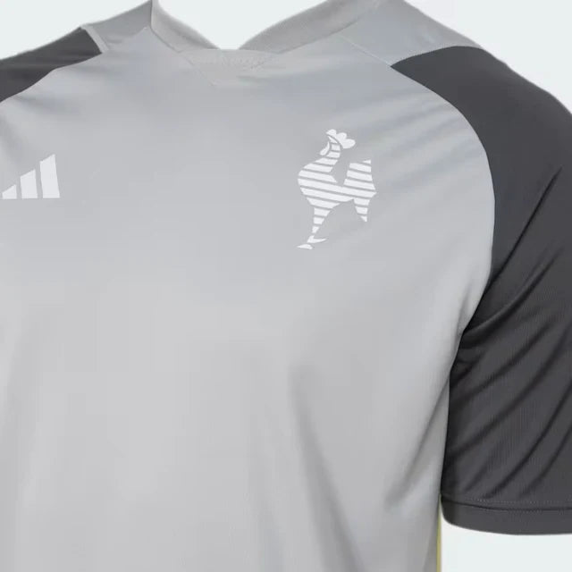 Camisa Adidas Atlético Mineiro 24/25 Treino I