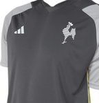 Camisa Adidas Atlético Mineiro 24/25 Treino II